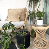 9 Extremely Gorgeous Bali Furniture To Add Character Into Your Home - IrregularLines