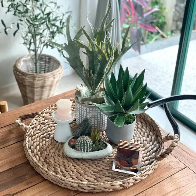 Water Hyacinth Tray - IrregularLines