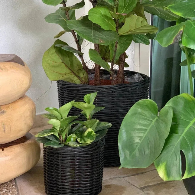 Nordic Round Basket/pot - IrregularLines