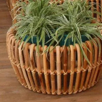 Koso Plant Stand - IrregularLines