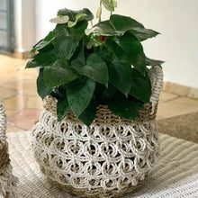 Load image into Gallery viewer, Paxoi baskets - IrregularLines
