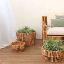 Load image into Gallery viewer, Koso Plant Stand - IrregularLines
