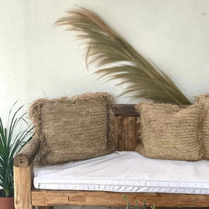 Exotic Grass Fronds - IrregularLines