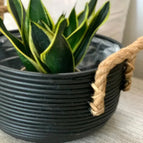 D 39.5cm x 29cm H (M)