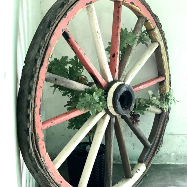 Cart Wheel Mixed Color - IrregularLines
